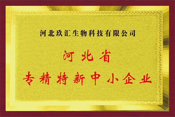 河北省专精特新中小企业