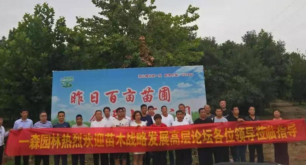 一森园林苗木战略发展高层论坛在河北石家庄元氏隆重召开
