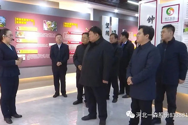 市人大常委会视察团莅临视察指导酸枣产业规划和发展工作